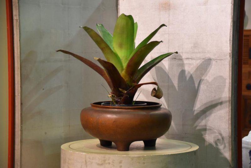 Copper Brazier (Hibachi)