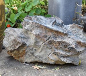 Japanese Garden Rock