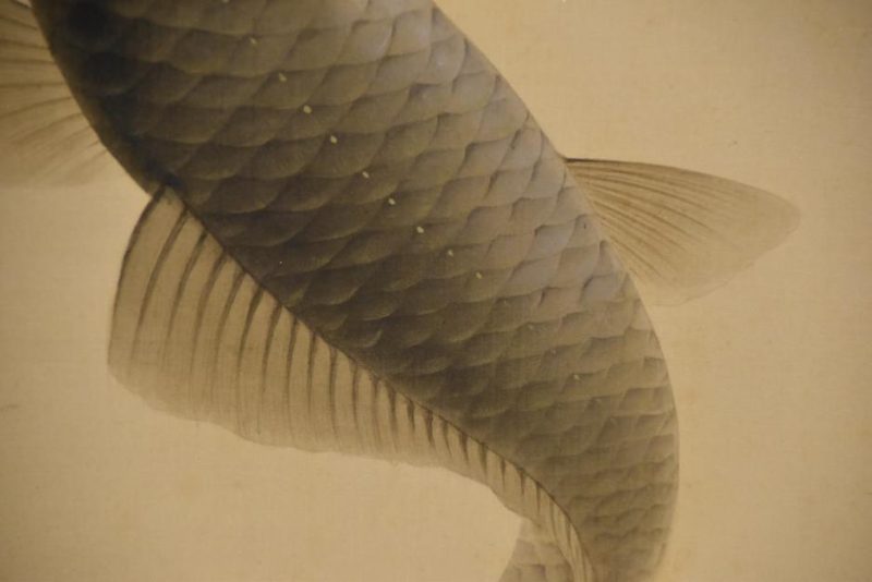 Leaping Koi Scroll - Image 8