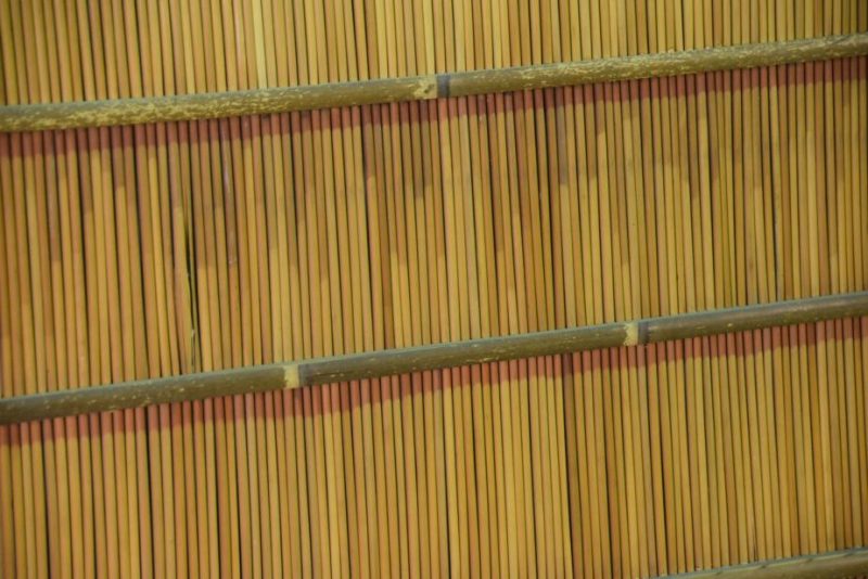 Summer Doors - Image 8