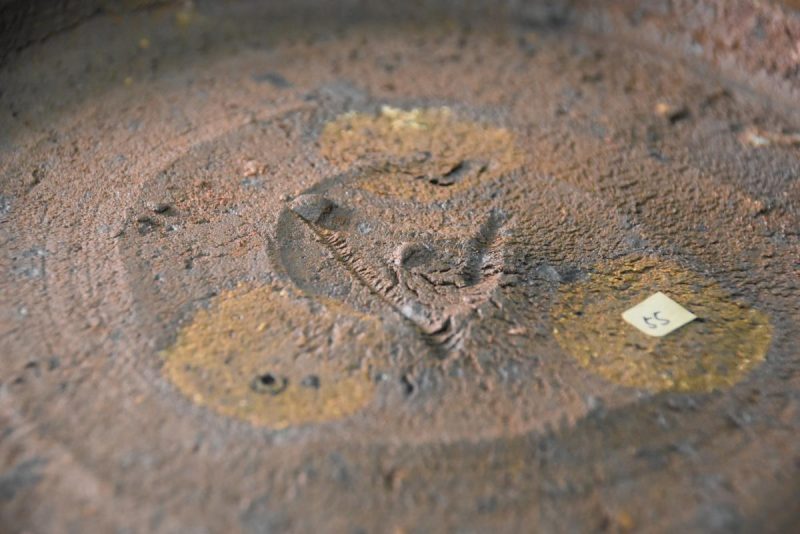 Traditional Japanese Shino Pottery Bowl - Image 5