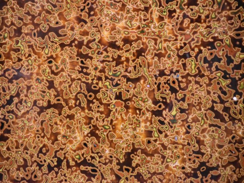 Japanese Lacquer Ware Coffee Table - Image 4