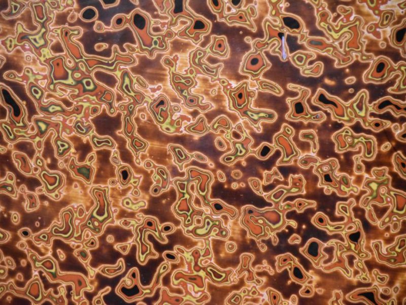 Japanese Lacquer Ware Coffee Table - Image 3