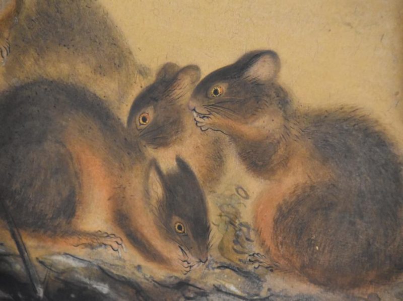 Squirrel and Pomegranate Painting - Image 4