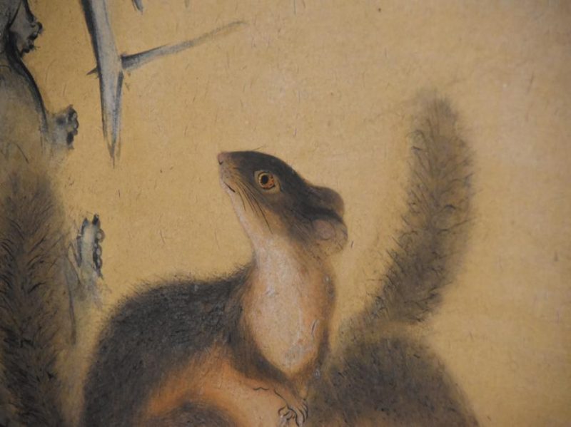 Squirrel and Pomegranate Painting - Image 3