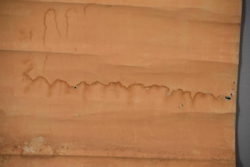 Buddhist Lotus Scroll - Image 3