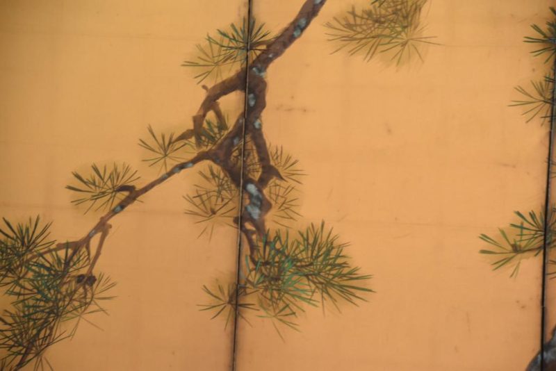 Pine Screen Width 3700 mm's - Image 6