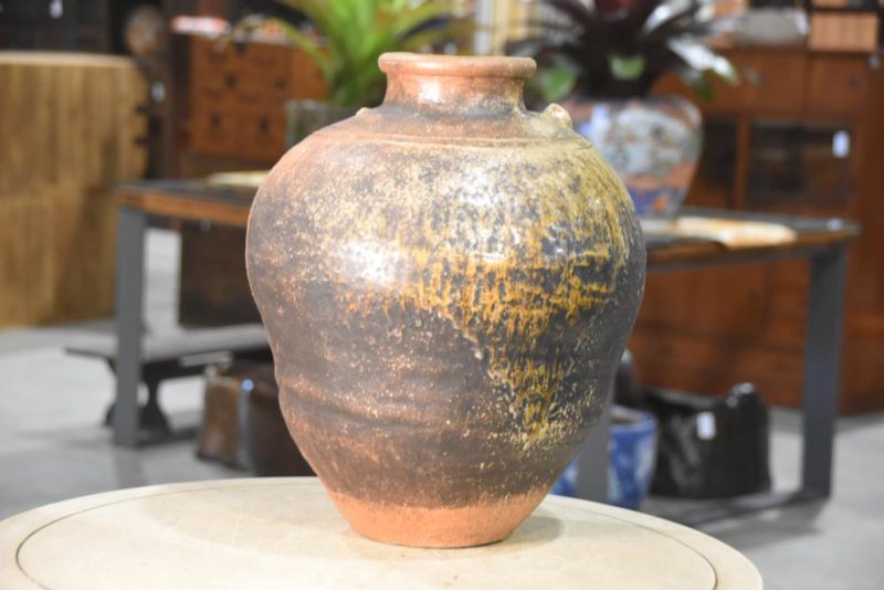 Shigaraki Tanuki Chatsubo (Dry Tea Storage) - Image 8