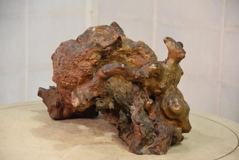 Burl Wood Crystal Ball Stand - Image 7