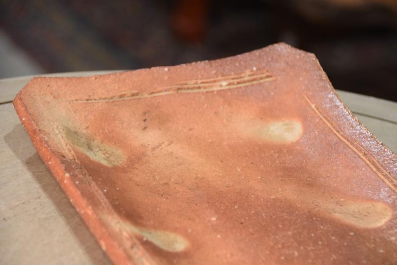 Shigaraki Pottery Plate - Image 8