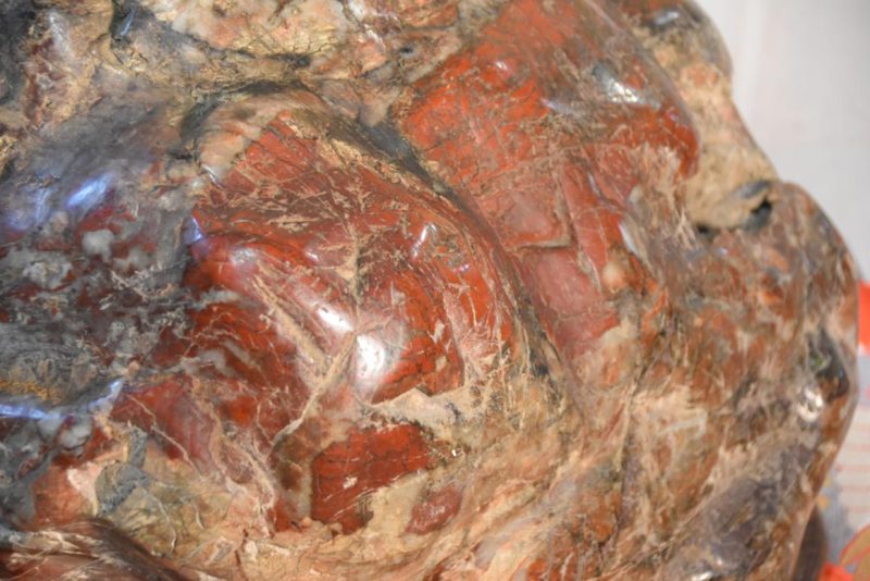 Japanese Suiseki Appreciation Rock Width:410mm - Image 5
