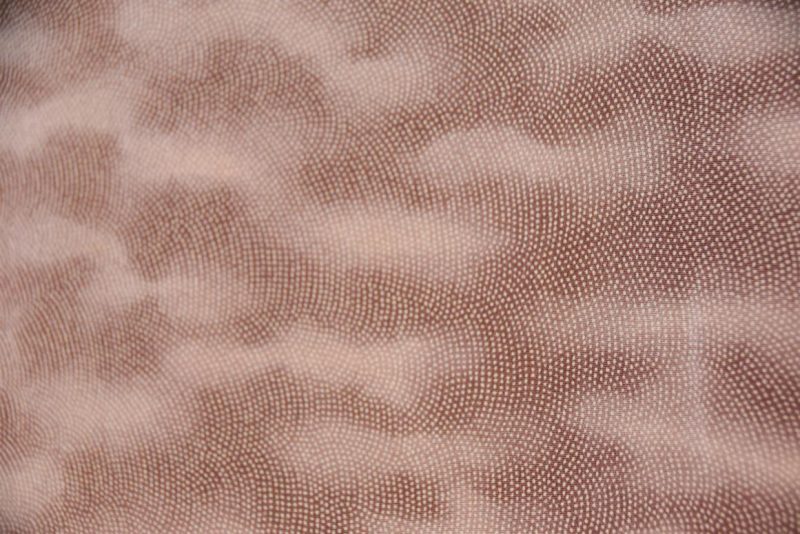 Japanese Vintage Haori Jacket - Image 5