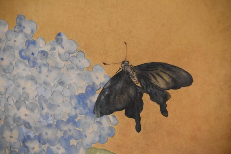 Vintage Japanese Hydrangeas and Butterflies Screen Width:1620mm's - Image 5