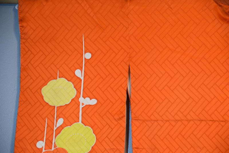 Long Sleeved Kimono - Image 5