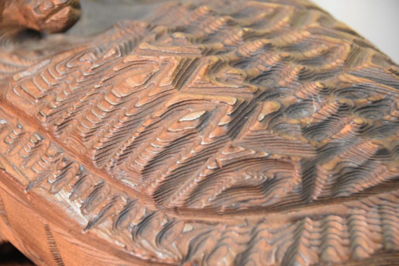 Carved Cedar Turtle Width:480mm - Image 6