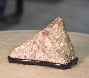 Suiseki Appreciation Rock Width:190mm
