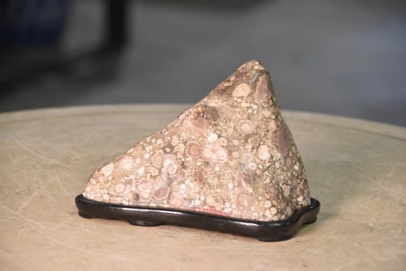 Suiseki Appreciation Rock Width:190mm