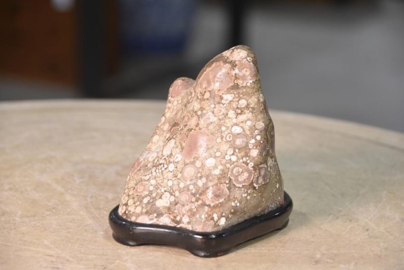 Suiseki Appreciation Rock Width:190mm - Image 3