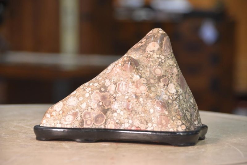 Suiseki Appreciation Rock Width:190mm - Image 9