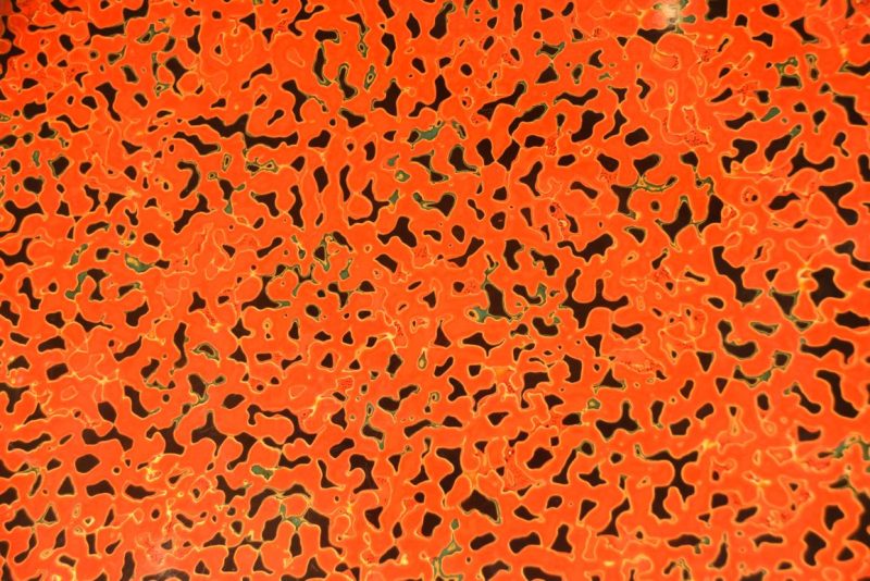 Wakasa Lacquer Tray Width:385mm - Image 6