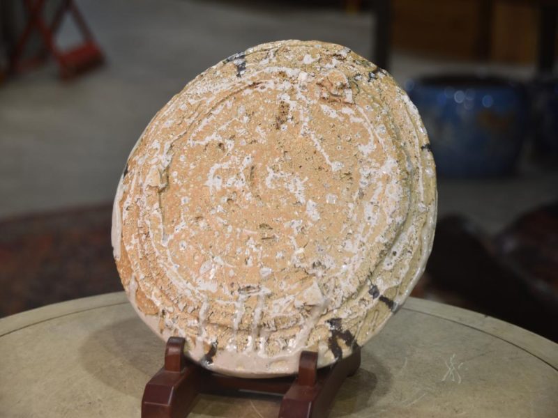 Shigaraki Pottery Plate by Takuma Murakoshi Width:260mm - Image 6