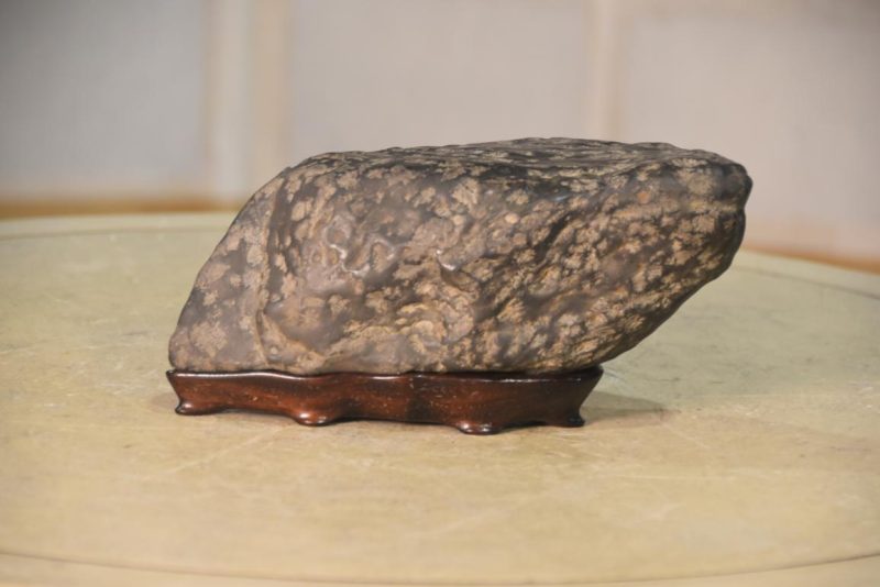 Suiseki Appreciation Rock Width:210mm