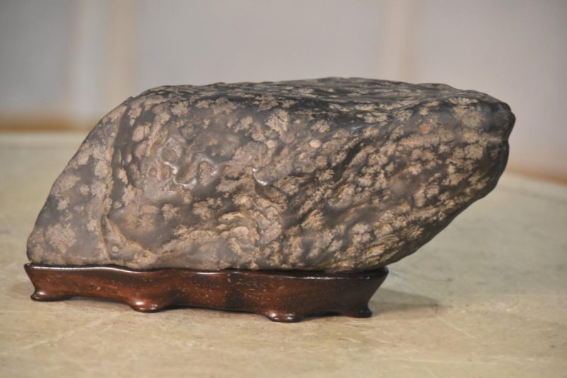 Suiseki Appreciation Rock Width:210mm - Image 3
