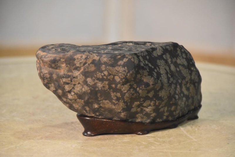 Suiseki Appreciation Rock Width:210mm - Image 6