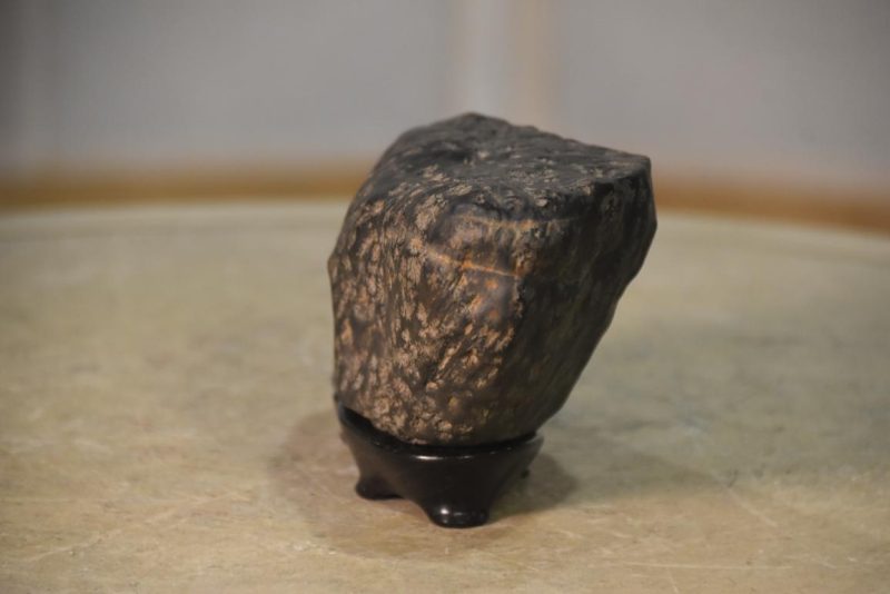 Suiseki Appreciation Rock Width:210mm - Image 5
