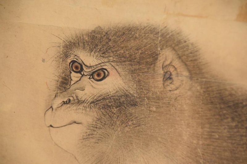 Japanese Saru (Monkey) Scroll Width:670mm - Image 7