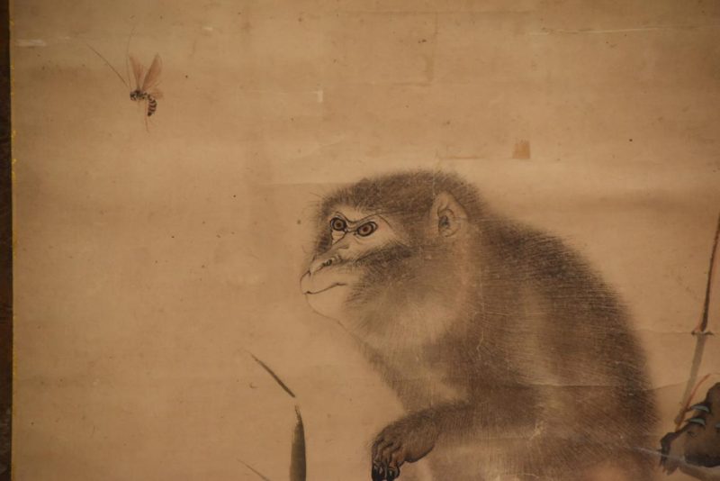 Japanese Saru (Monkey) Scroll Width:670mm - Image 2