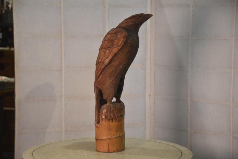 Bamboo Hawk