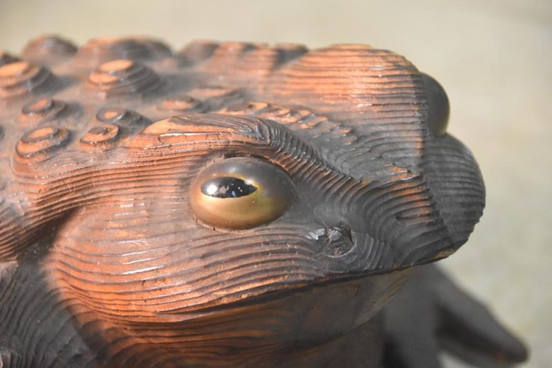 Wooden Frog - Image 2