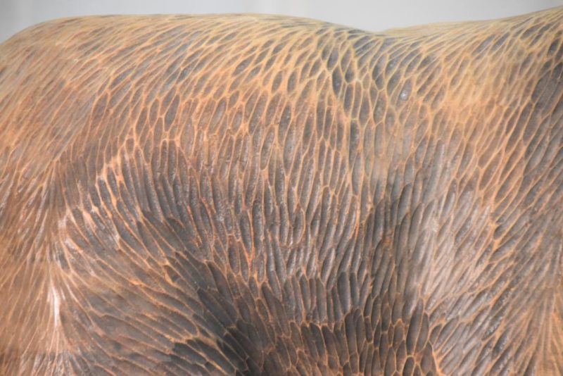 Carved Wooden Hokkaido Bear Width:500mm - Image 5