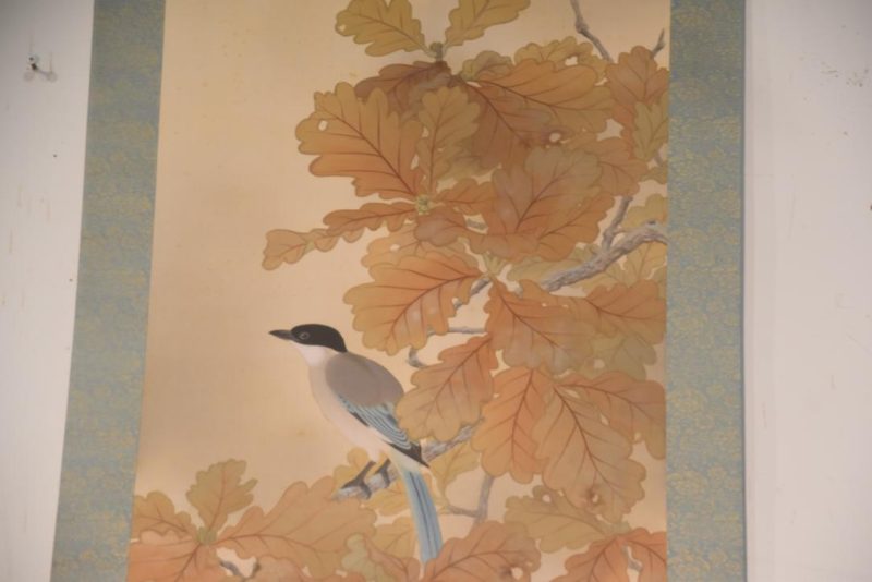 Japanese Taisho Period Oak Tree and Birds Scroll Width:715mm - Image 5
