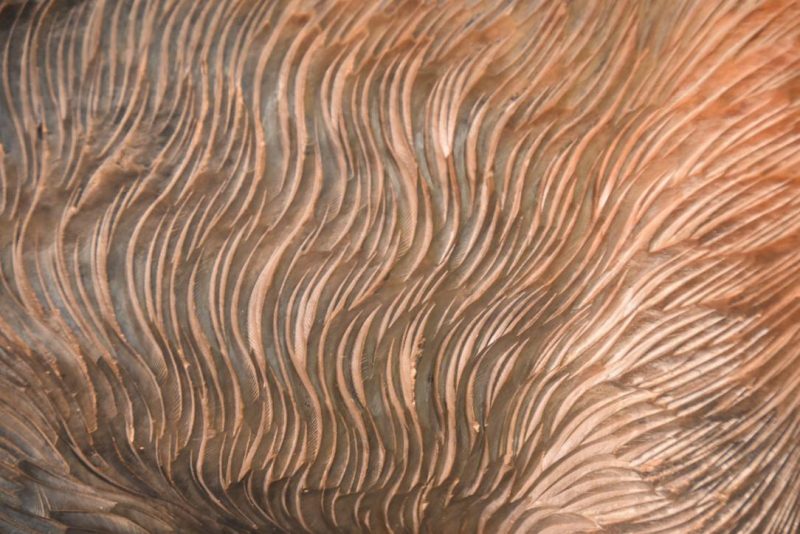Carved Wooden Hokkaido Bear Width:520mm - Image 6