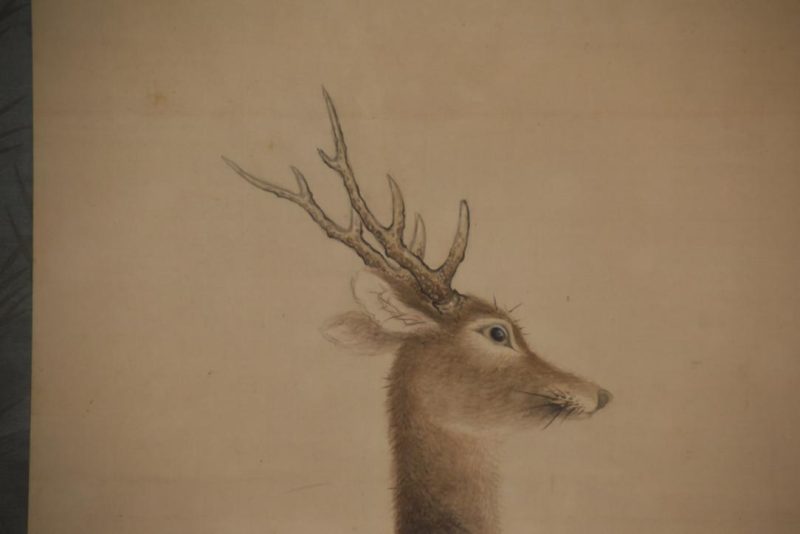Japanese Deer and Bamboo Grass Painting Scroll Width:625mm - Image 10