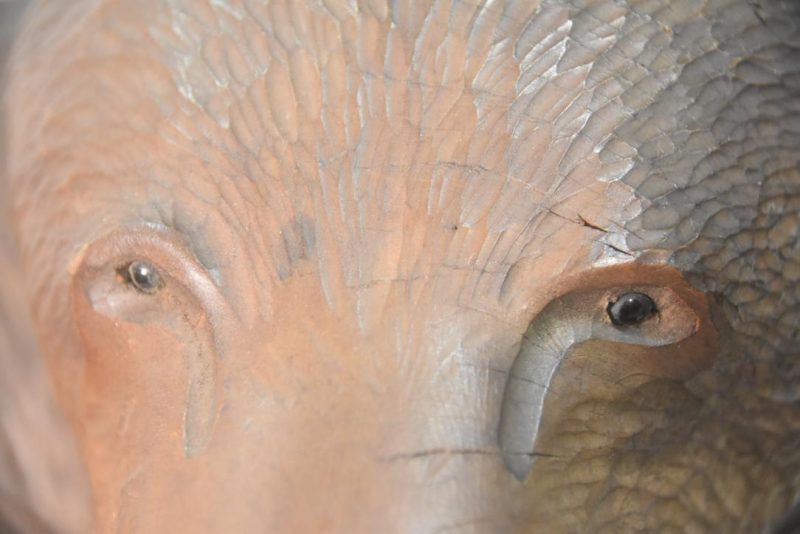 Carved Wooden Hokkaido Bear Width:400mm - Image 9