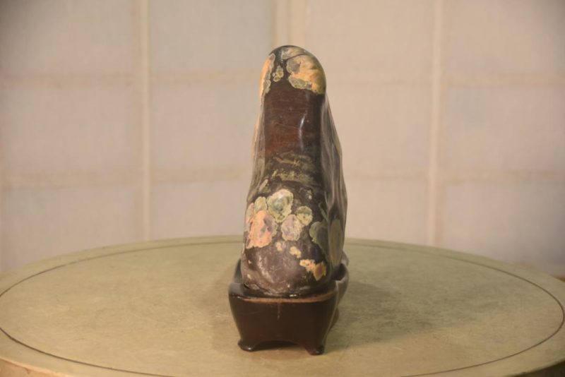 Suiseki Appreciation Rock Width:360mm - Image 8