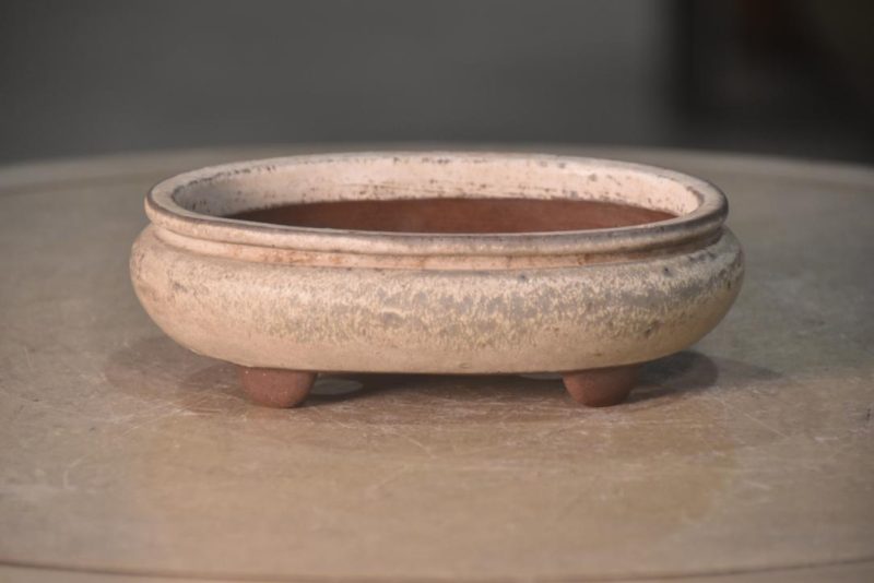 Bonsai Pot - Pool Shaped Width:185mm