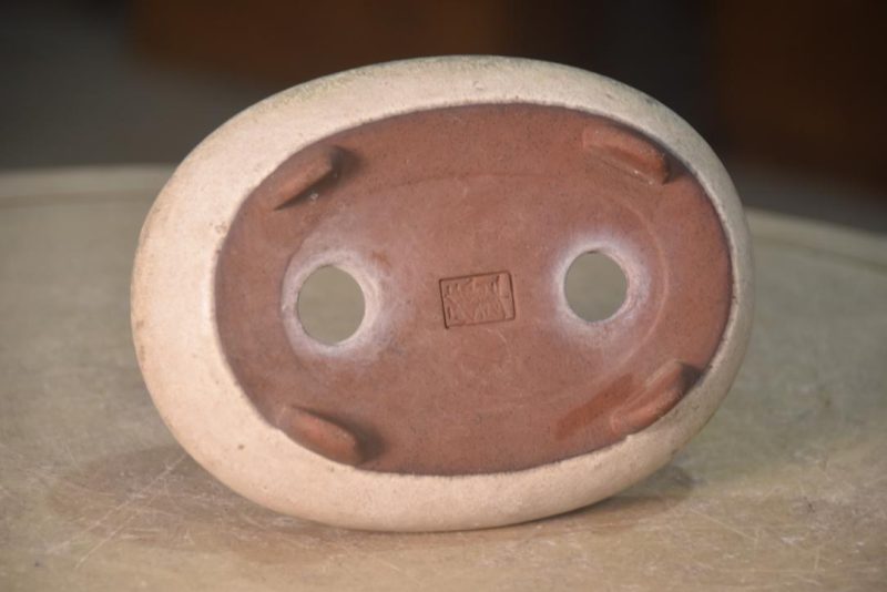 Bonsai Pot - Pool Shaped Width:185mm - Image 6