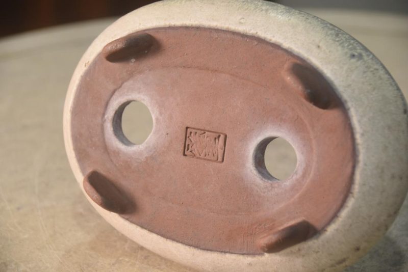 Bonsai Pot - Pool Shaped Width:185mm - Image 4