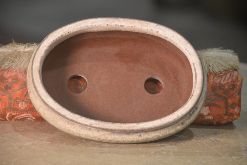 Bonsai Pot - Pool Shaped Width:185mm - Image 3