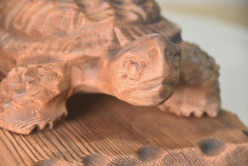 Carved Cedar Turtle Width:250mm - Image 6