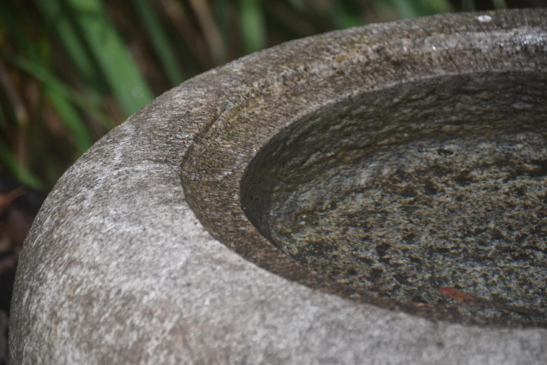 Natsume (Tea Caddy) Granite Garden Basin Width:630mm - Image 6