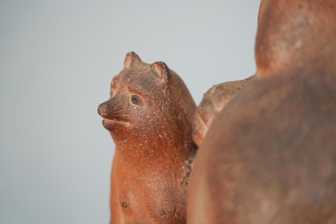Tanuki and son