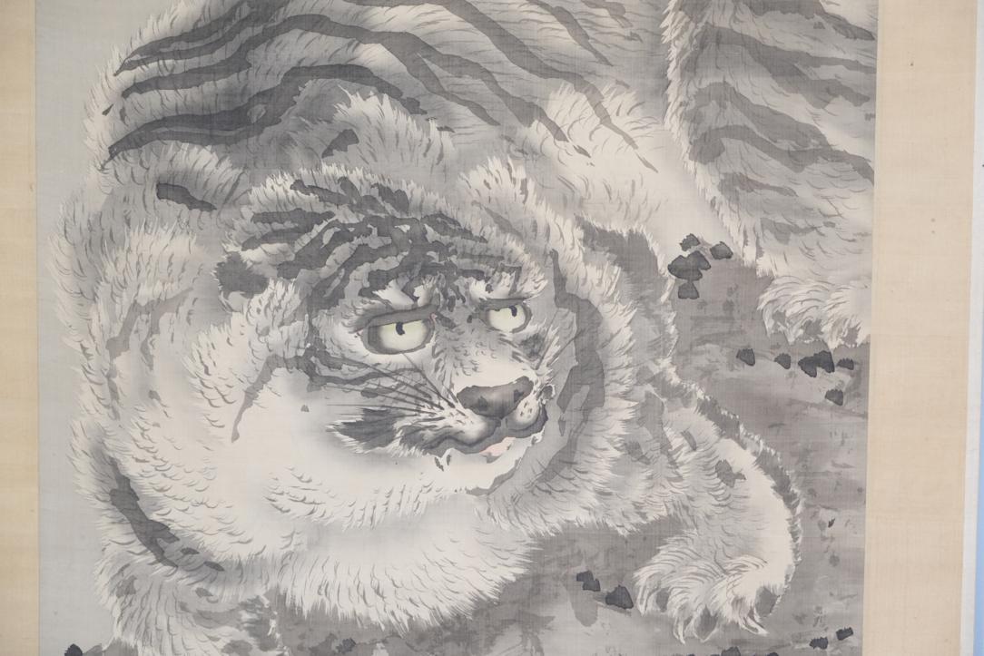 Kishi Ganku Tiger Painting Scroll Width:645mm - Image 4