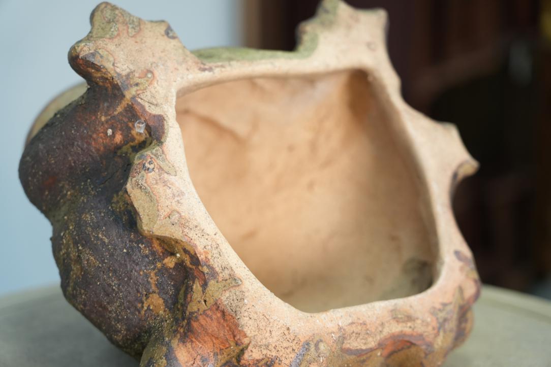 Shigaraki Pottery Frog Width:320mm - Image 3